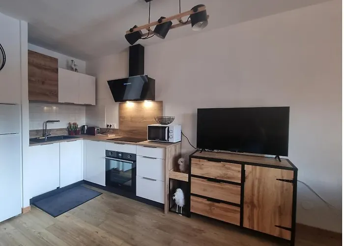 Bel Appartement Avec Piscine - Le Grand Tetras